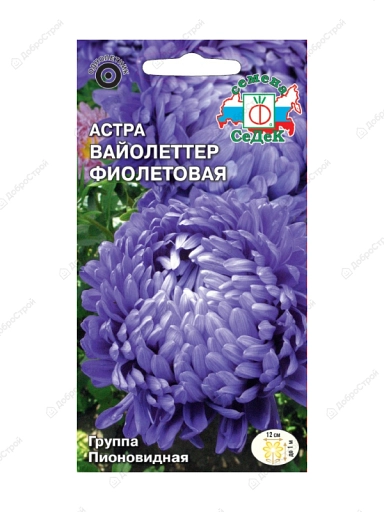 цветок Астра Вайолеттер фиолетовая (китайская, пионовидная, фиолетовая) . Евро, 0,2